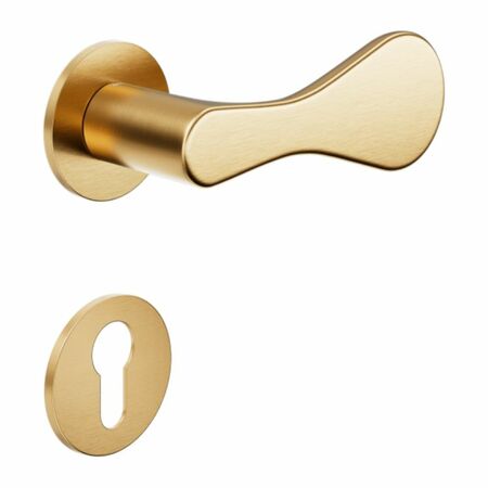 Maniglia Drop DND DP40Y per porta, rosetta e bocchetta tonda 50x4 mm foro Yale, Ottone finitura PVD Oro Antico Satinato