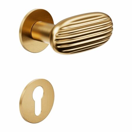 Maniglia Madeleine DND MA40Y per porta, rosetta e bocchetta tonda 50x4 mm foro Yale, Ottone finitura PVD Oro Antico Satinato