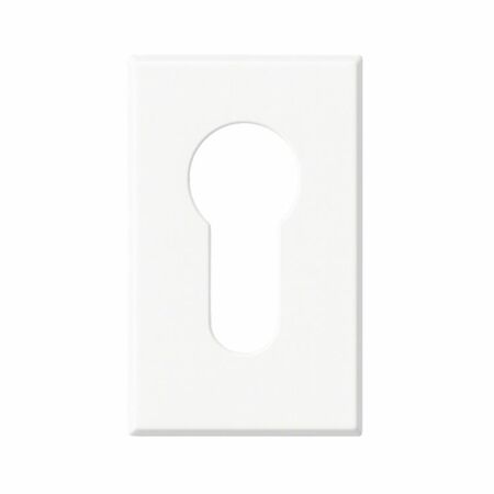 Bocchetta rettangolare Italia 2129.4 Master per maniglia, foro yale, dimensione 54x31.5x7 mm, Zama finitura Bianco ral 9010