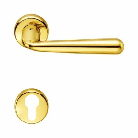 Maniglia Robodue CD 51 RY Colombo Design per porta, foro Yale, rosetta tonda diametro 50 mm, finitura Oroplus