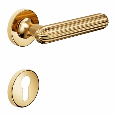 Maniglia Zeppelin DND ZP12Y per porta, rosetta e bocchetta tonda 50x7 mm foro Yale, Ottone finitura PVD Oro Antico Lucido