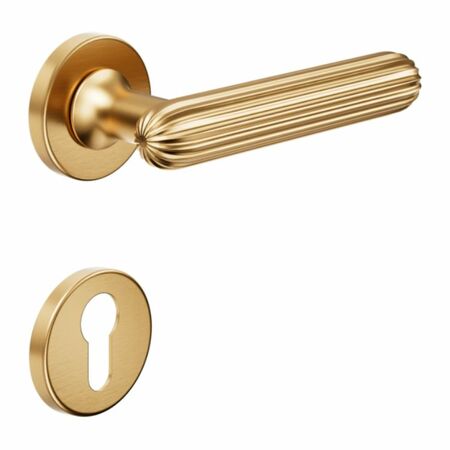 Maniglia Zeppelin DND ZP12Y per porta, rosetta e bocchetta tonda 50x7 mm foro Yale, Ottone finitura PVD Oro Antico Satinato