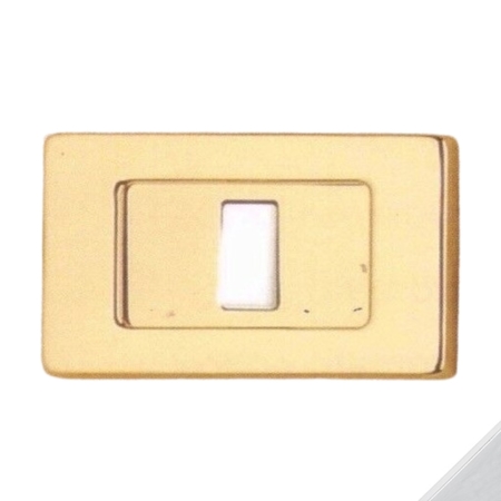 Placca coprinterrutore Danubio T101 Olivari per interruttore luce da muro, 1 foro, dimensioni 123x75 mm, Ottone finitura Cromo Lucido