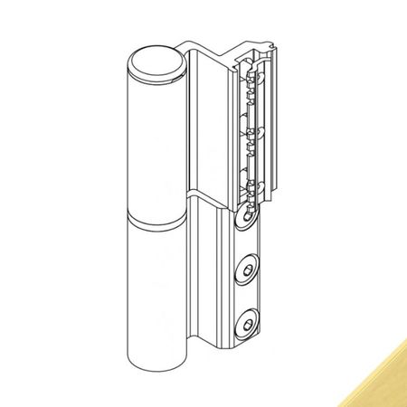 Cerniera Celera 00681 Giesse per serramento, profilo CU, registrabile, altezza 135,5 mm, portata 100-120 Kg, Alluminio finitura Oro