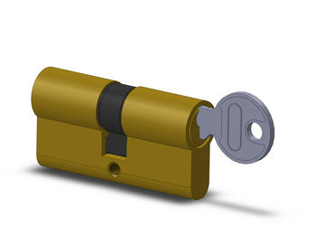 Cilindro a chiave seghettata per porta, in Ottone, finitura personalizzabile, dimensioni 22-10-22 mm