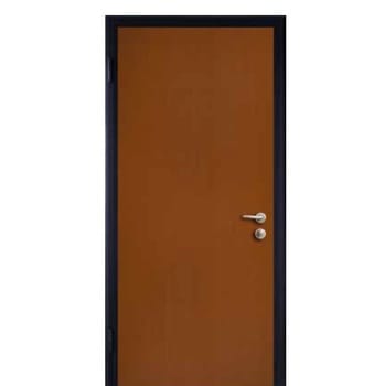 Alias porta blindata STEEL C Sinistra, dimensioni 900x2100 mm, finitura interno-esterno Tanganica Medio, accessori Ottone