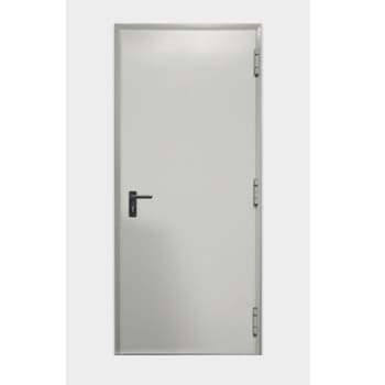 Porta tagliafuoco New Idra N02 Dierre, sinistra, per parete cartongesso, a un battente, resistenza certificata 120 minuti, 900x2150 mm, colore RAL 1013