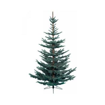 Albero di Natale Abete Nobilis 210 cm Blu